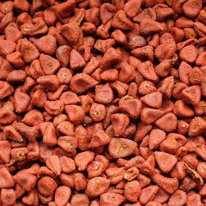 Annatto © Päivi Hutri
